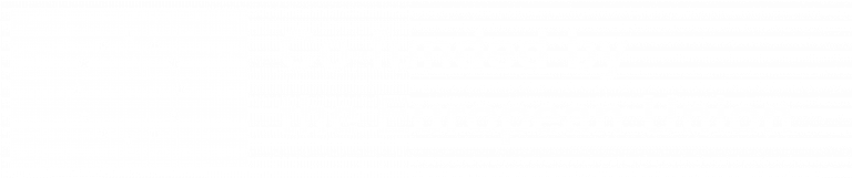 EN Co Funded by the EU WHITE